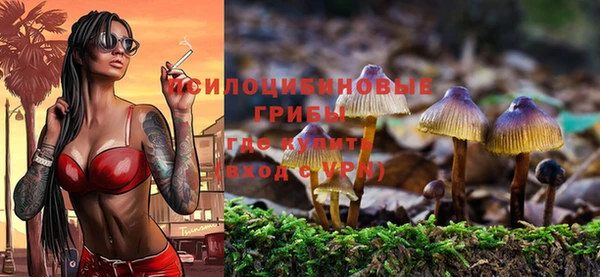 соль курить ск Алзамай