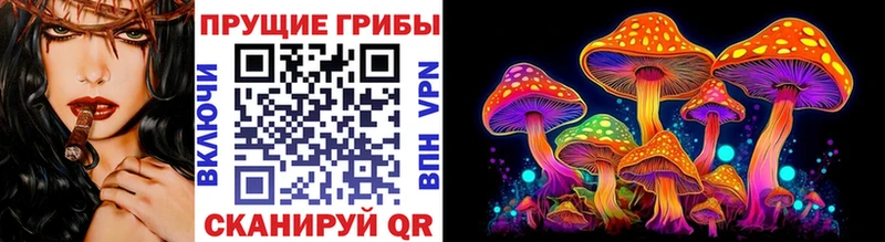 Галлюциногенные грибы Psilocybine cubensis  KRAKEN зеркало  Спасск-Рязанский 